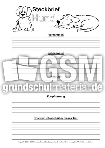 5 steckbrief hund klasse Steckbrief Hund